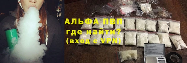 СК Вязьма