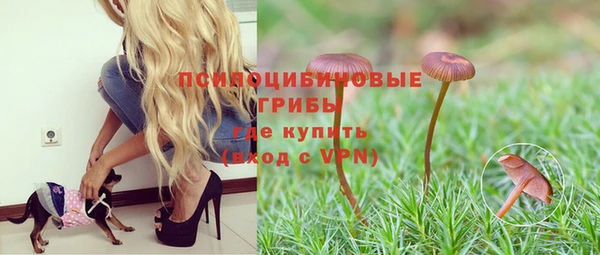 СК Вязьма