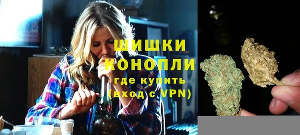 СК Вязьма