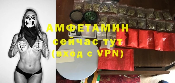 ALPHA-PVP Вяземский